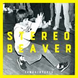 34mag New Year Mixes 2015 - Stereobeaver