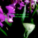May 2015 deep music mix 14