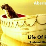 Life Of Ambient Pi