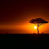 Afro Deep