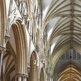 The Cathedral sessions