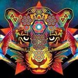 EL JAGUAR AMASONIKO - DJ INTI AKA LAROYÉ