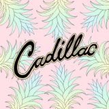 Cadillac Radio Show 18 - Mark Hume (01/10/15)