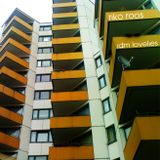 Riko Roos - The IDM Lovelies
