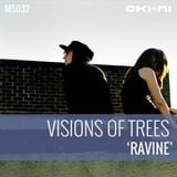 RAVINE by Visions Of Trees