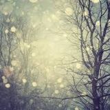December Podcast