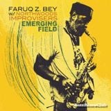 Faruk Z. Bey & Northwood Improvisers - "Emrging Field" prezentuje Maciej Karłowski