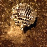Mind of maQLu Radio - December 3, 2015