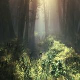 Moments of Peace 01