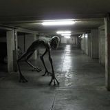 Dubsomnia Vol.63 PLAYLIST (22.01.2012)