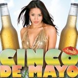 The Cinco de Mayo Quick Mix