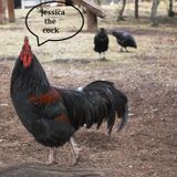 jessica the cock| mixtape