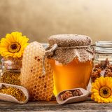 Apithérapie, les produits de la ruche
