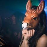disco horses dont you know?