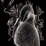 Intimacy heartbeat #3