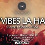 Deep Vibes @ Hamac - VICE B2B Vicious Sam (Live)