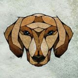 Dachshund - Kling Klong Mix