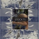 OCTOBER FRESH FLOWER - STOCK71's MIXTAPE