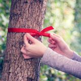 Nỗi nhớ không phải là tình yêu