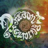 Dragon Dreaming 2011