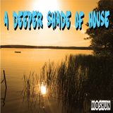 Moshun - A deeper shade of house