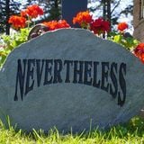 Nevertheless