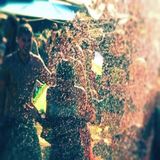 psychedelik.com (exclusive mix) - barefoot at noon on the field - by jensson / june 2014