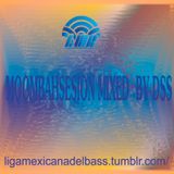 Dubsoulsystem_-_Moombahsession