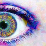 Pulse: Enigma- Rise of the Peacock 2015-09-18