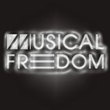 Dj Polat-Musical Freedom Electro House 2012