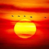 Aniou - When the sun goes down