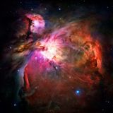 BLACK ORION