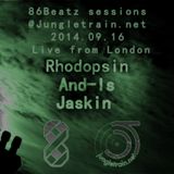 And-Is, Jaskin and Rhodopsin @ Jungletrain.net 2014.09.16