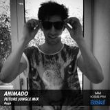 Batiskaf140 - Animado - Future Jungle mix at KISS.FM
