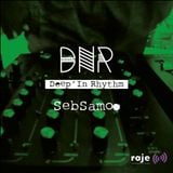 Deep’In Rhythm #36 w/ SebSamoo @ Radio RAJE
