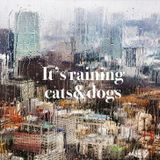 It's raining cats&dogs