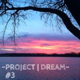 Project Dream #3
