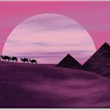 Desert expedition #8
