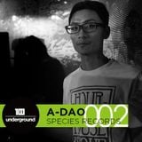 A-Dao @ 18 Underground vol.1 - ROOM18 ( Taipei, TW ) 2013 August 30