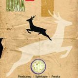 semen torpeda b2b mexicanez 27.05.2012