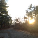 down the beaten path