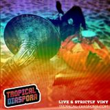 TROPICAL DIASPORA ZAMBAÇÃO