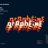 Graphéine #5 // 2013 - Maison Salvan - Labège