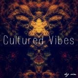 Cultured Vibes-mixed by Dj Vin