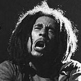 Bob Marley and the Wailers Music Hall Boston, MA April 25, 1976 Early (4pm) show