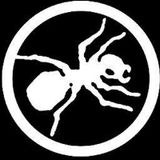 Prodigy Mini Mix