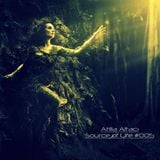 Atilla Altacı - Source of Life #005