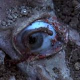 Unearthing Forgotten Horrors 16/03/15
