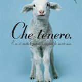 Nove alle Nove - Puntata n. 27 - #PasquaConITuoi - 18.04.2014
