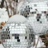 DISCO Winter 2014